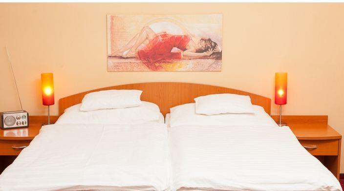Penzion Kamelia Žilina Chambre photo